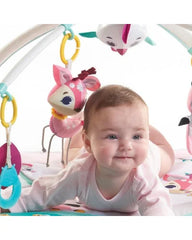 Tapis D'éveil Plush Gymini Princesse