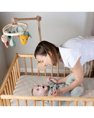 Mobile Musical Garden of Adventure