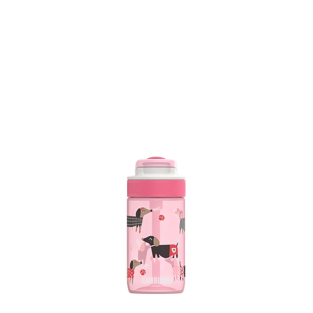Gourde LAGOON 400 ml
