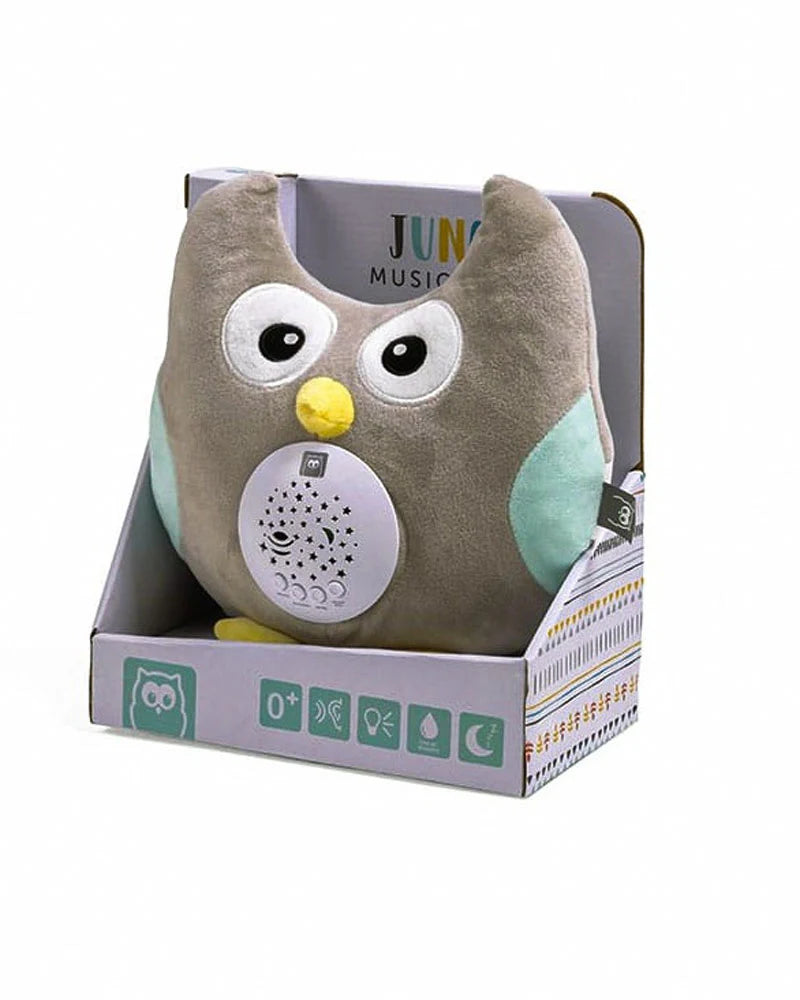 Hibou veilleuse / projecteur musical